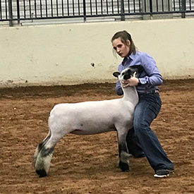 Benson Livestock Winners
