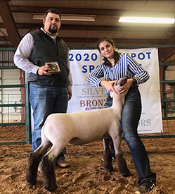 Benson Club Lambs Winners