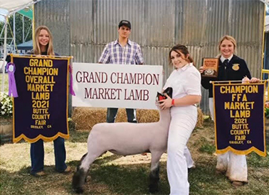 Benson Livestock Winners