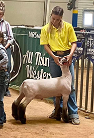 Benson Livestock Winners